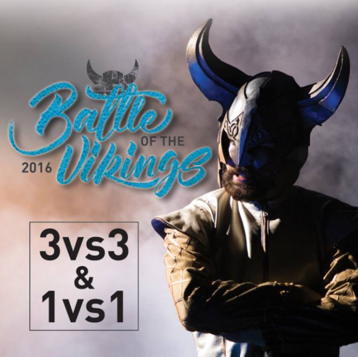 Battle of the Vikings poster