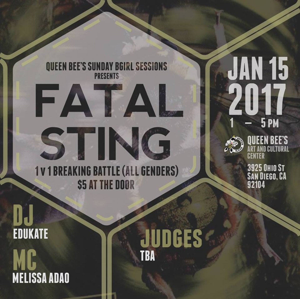 Fatal Sting: 1 vs 1 Breaking Battle poster