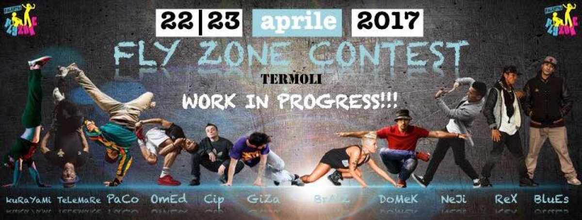 Fly Zone Contest 2017 poster