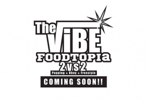 The Vibe 2017