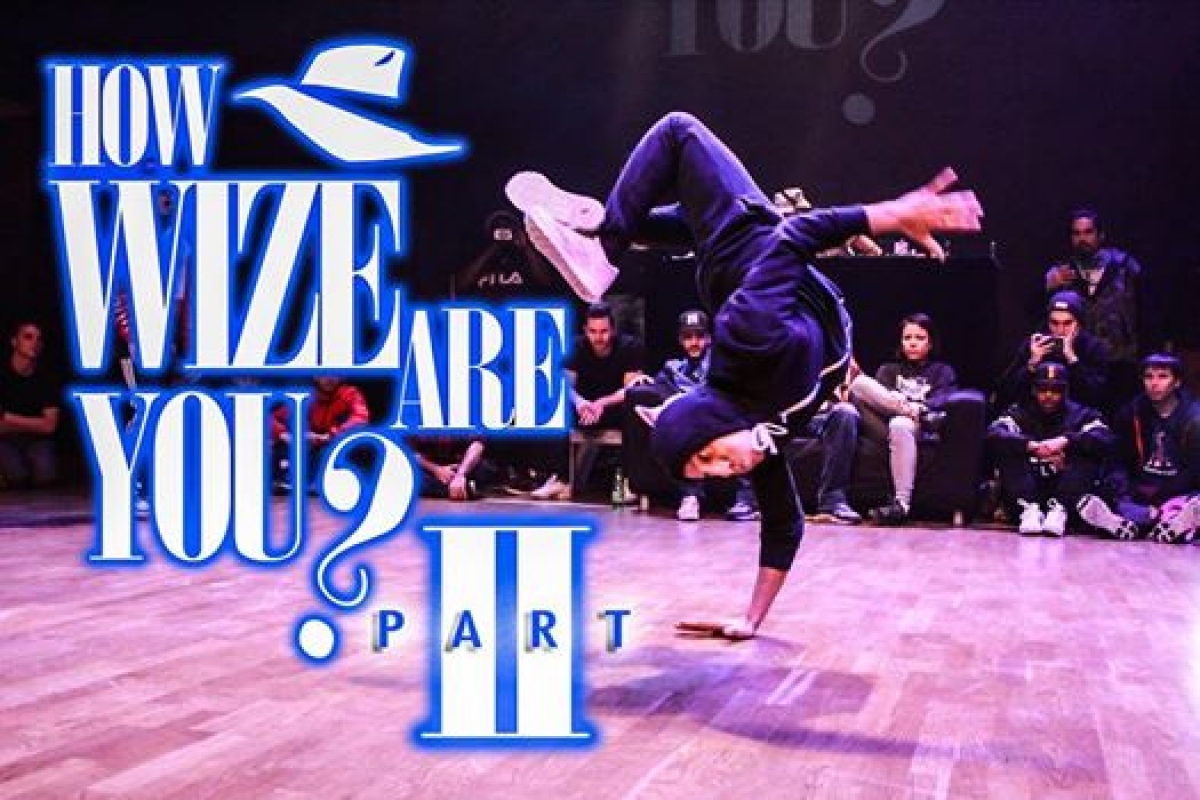 How Wize Are You 2 poster