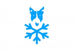 Power Move Camp - Winter edition 2017