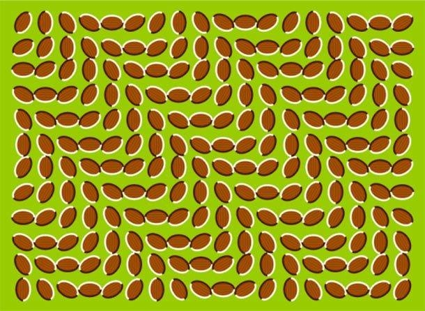 Hartford Arts & Motion Festival at the Riverfront 2018 poster