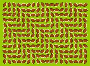 Hartford Arts & Motion Festival at the Riverfront 2018