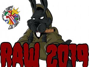 RAW 2019