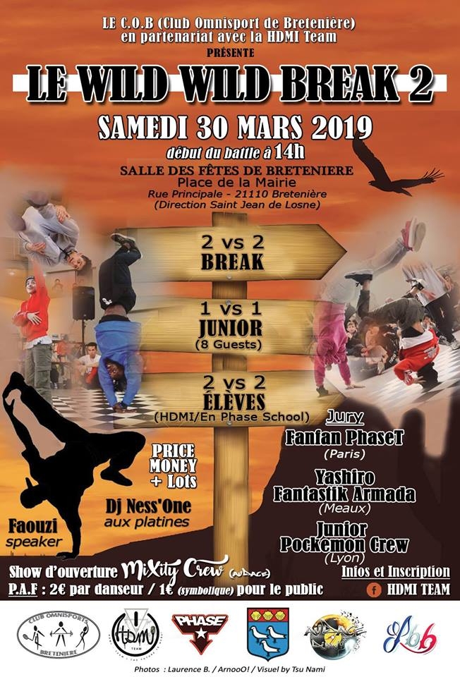 WILD WILD BREAK  2019 poster