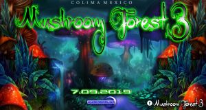 Mushroom Forest  2019